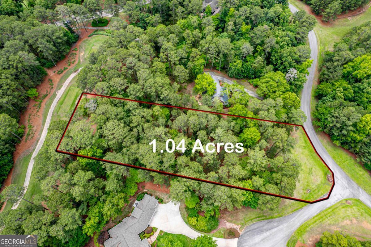 1041 Cedar Ridge Drive Greensboro, GA 30642 - Photo 2 of 17
