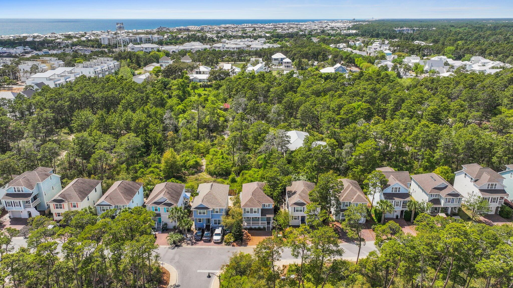96 Sandpine Loop Inlet Beach, FL 32461 - Photo 36 of 38 an aerial view of residential houses with outdoor space