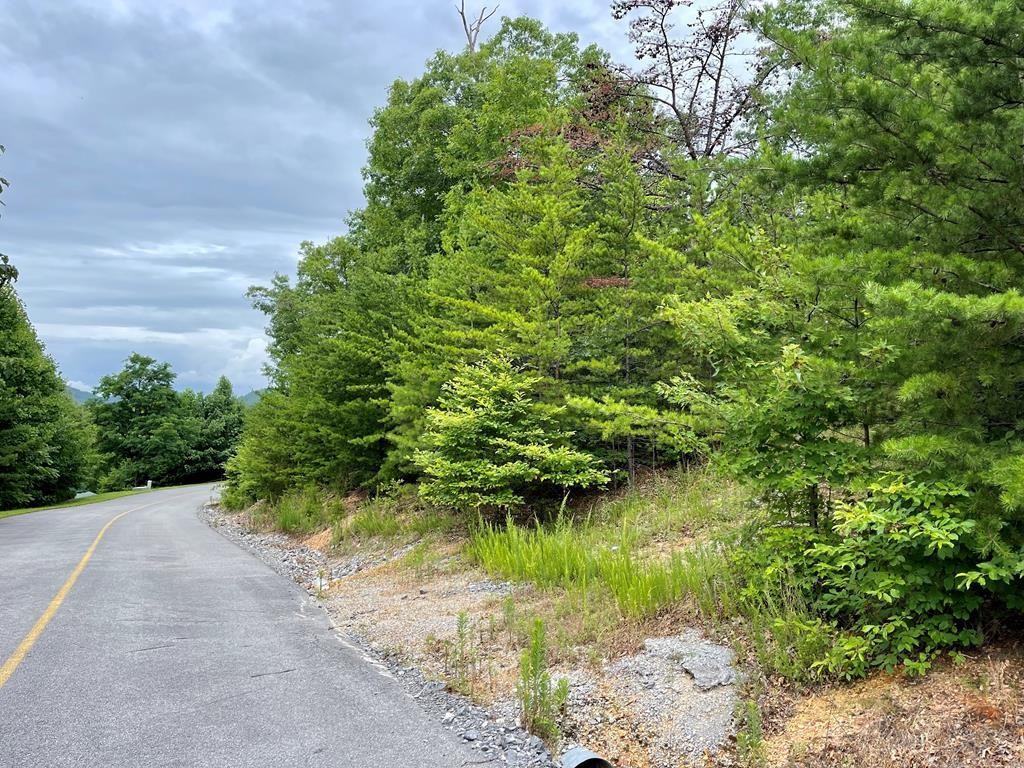 47 Harvest Moon Road Sevierville, TN 37862 - Photo 2 of 9