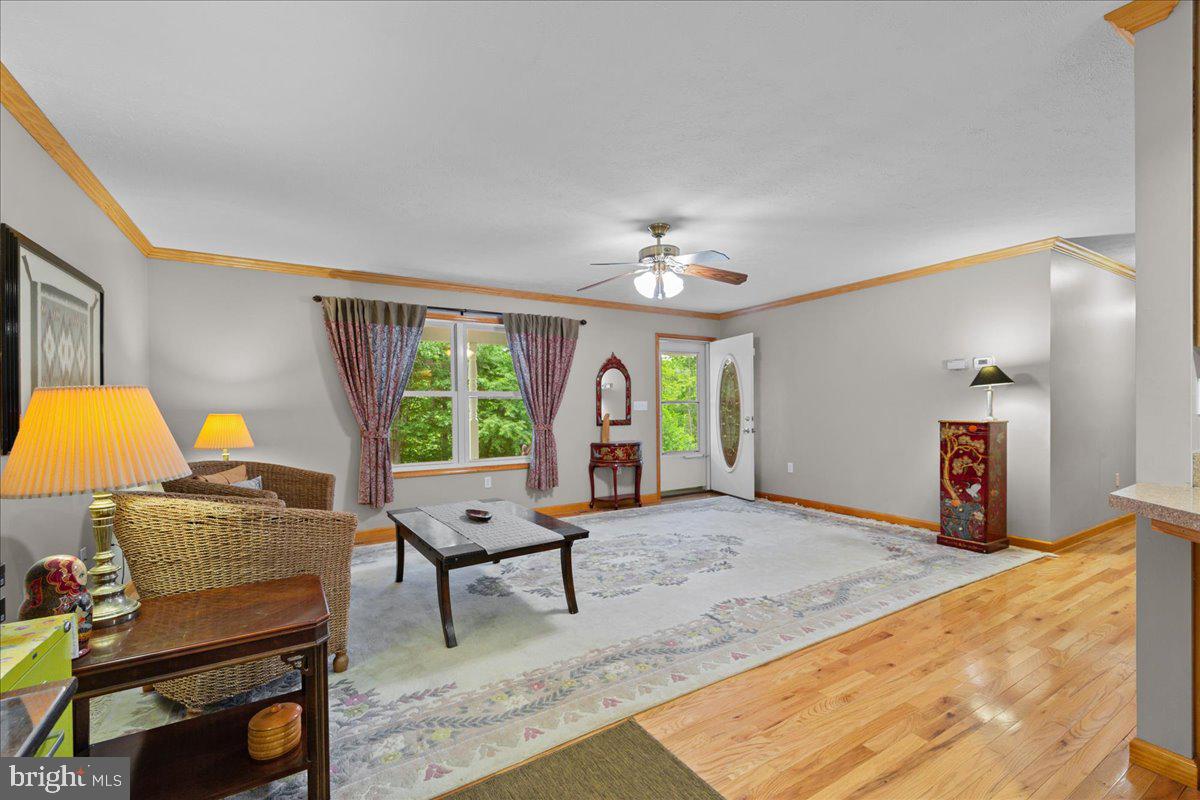906 Cauthorn Mill Road Middletown, VA 22645 - Photo 13 of 47