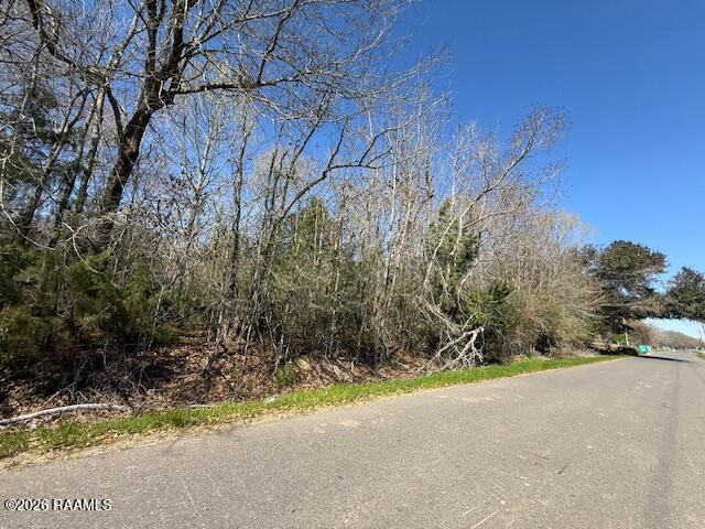 919 Heidi B Road Opelousas, LA 70570 - Photo 4 of 6 IMG_5229