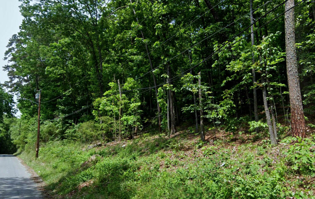 1037 Shallowford Road Chattanooga, TN 37411 - Photo 1 of 7 00