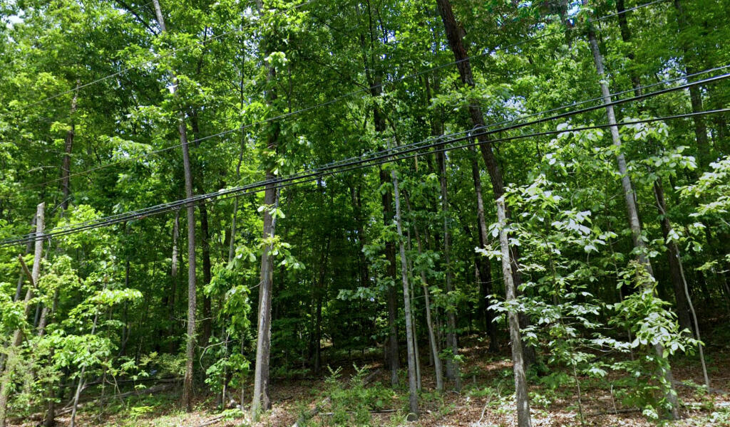 1037 Shallowford Road Chattanooga, TN 37411 - Photo 2 of 7 01