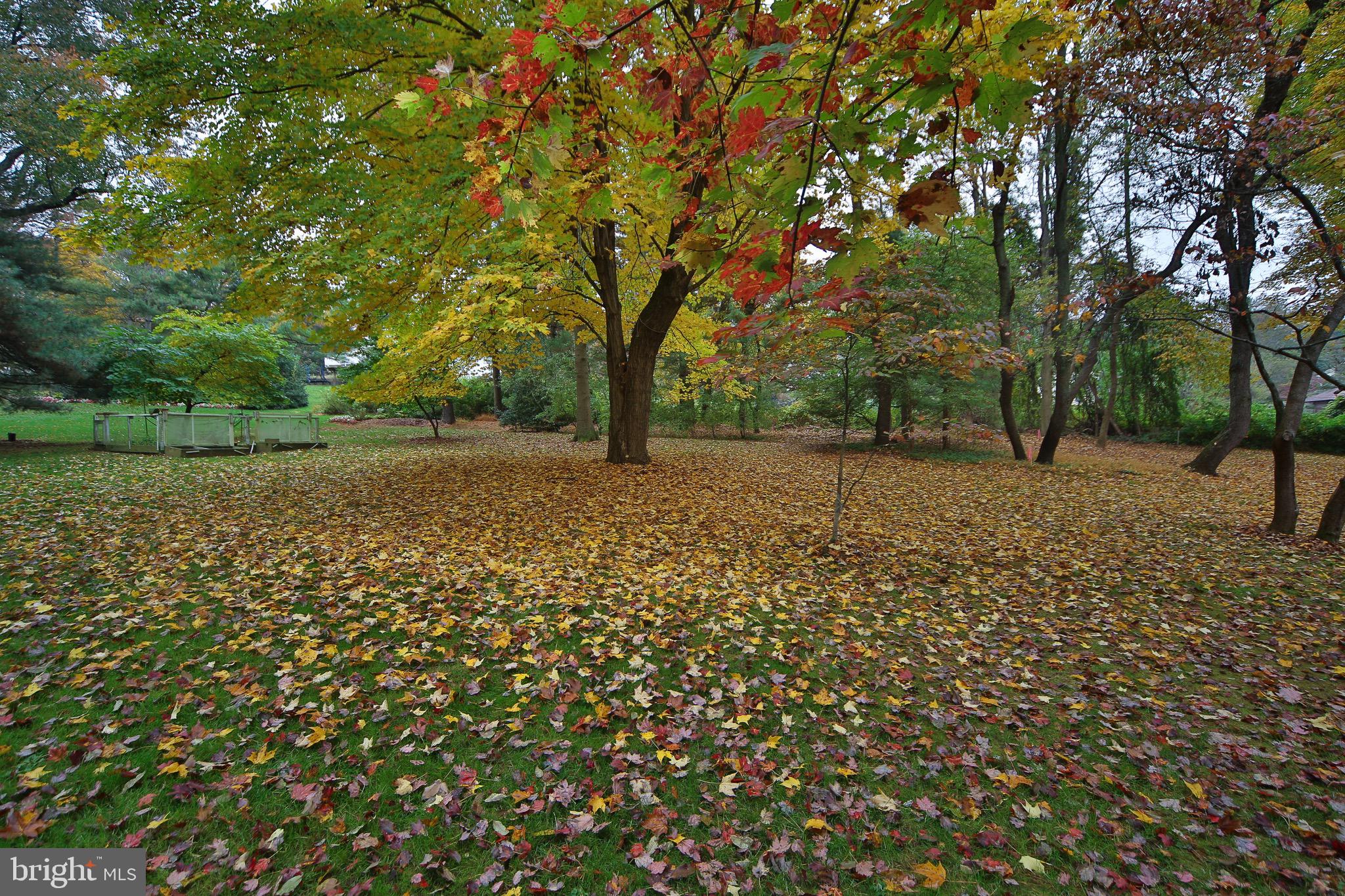 1069 Pebble Hill Road Furlong, PA 18925 - Photo 5 of 25