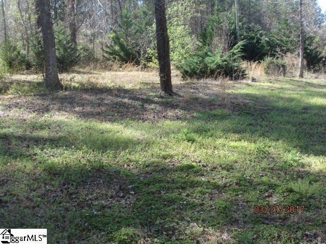 175 Motlow Creek Road Campobello, SC 29322 - Photo 8 of 36