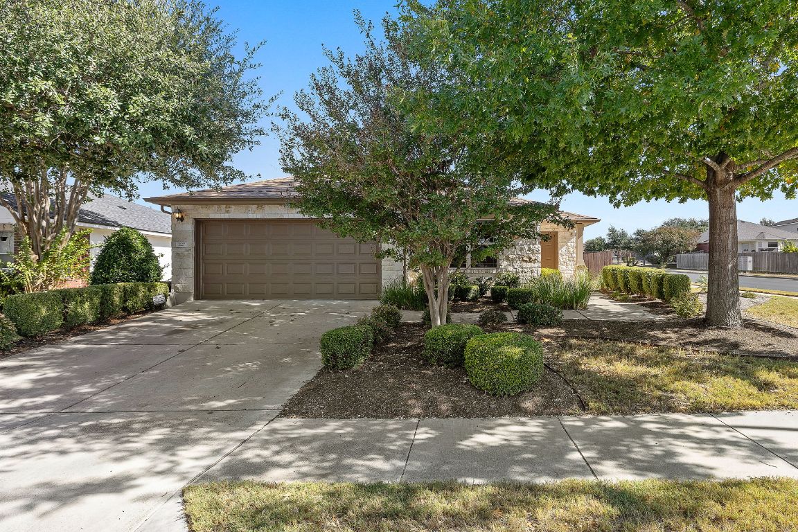 227 Avalanche Avenue Georgetown, TX 78626 - Photo 24 of 27 a view of a house with a tree in the background