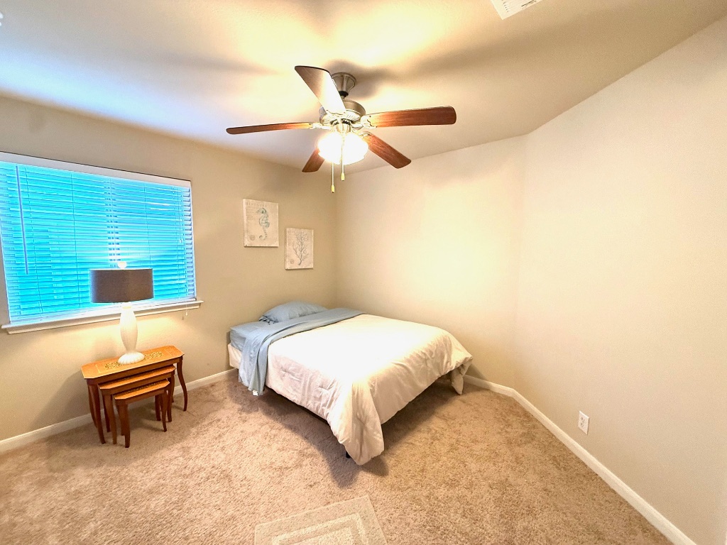 227 Avalanche Avenue Georgetown, TX 78626 - Photo 25 of 27 a bedroom with a bed and a chandelier