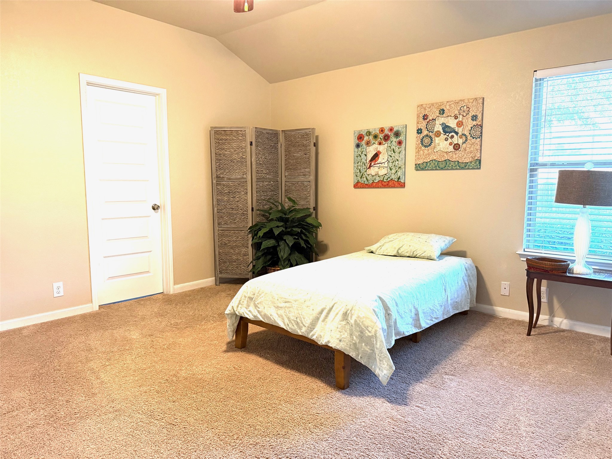 227 Avalanche Avenue Georgetown, TX 78626 - Photo 26 of 27 Bedroom featuring lofted ceiling and light carpet