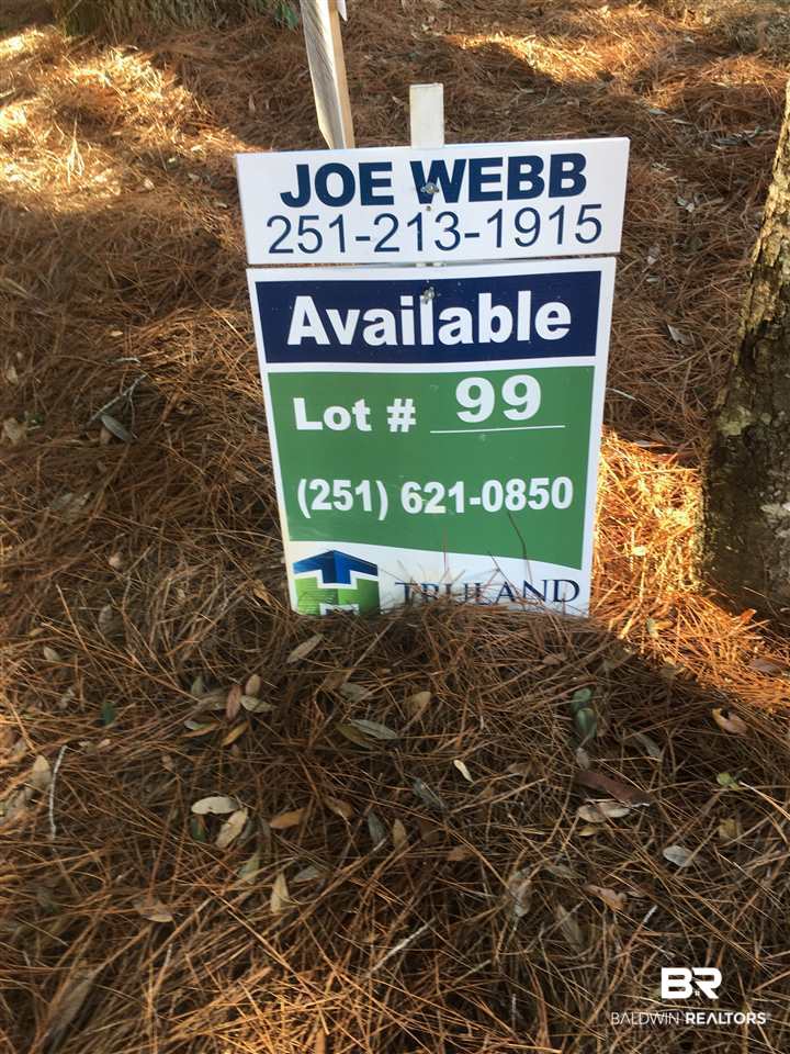 19317 Thompson Hall Road Fairhope, AL 36532 - Photo 2 of 2