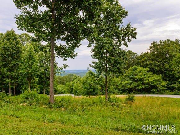 0 Chesterfield Rd-lot 178 Mill Spring, Unit 178 Mill Spring, NC 28756 - Photo 3 of 10 a view of a garden