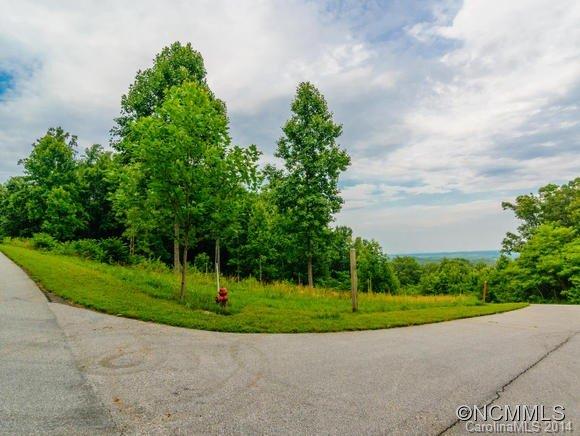 0 Chesterfield Rd-lot 178 Mill Spring, Unit 178 Mill Spring, NC 28756 - Photo 4 of 10 a view of a park with large trees