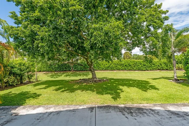 a park view with a outdoor seating