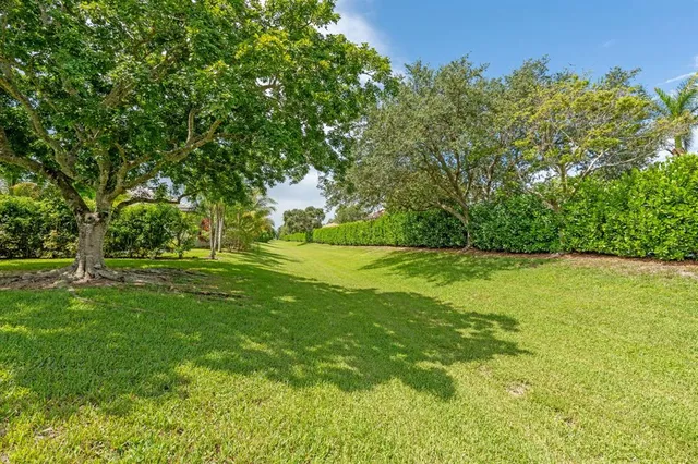 a view of green field with trees in the background