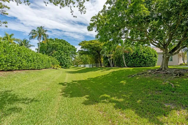 a view of green field with trees in the background