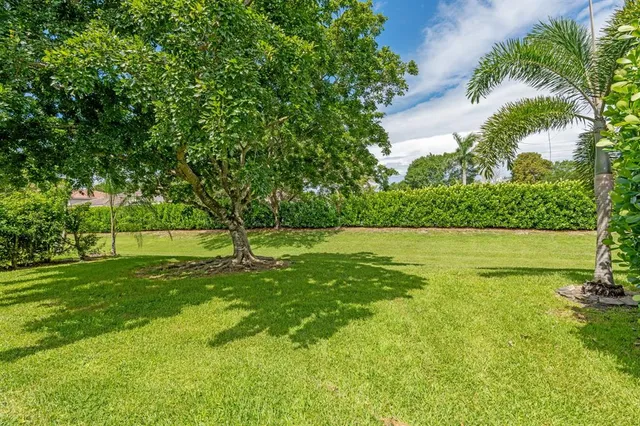 a view of a park with a tree