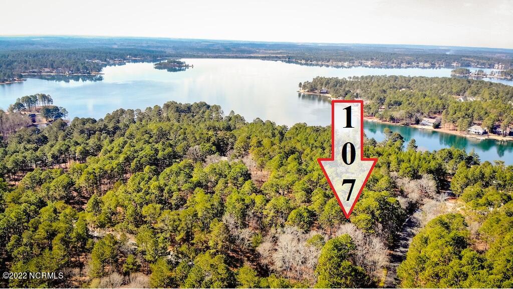 107 Paul Road West End, NC 27376 - Photo 1 of 21 Aerial View of Lot & Community