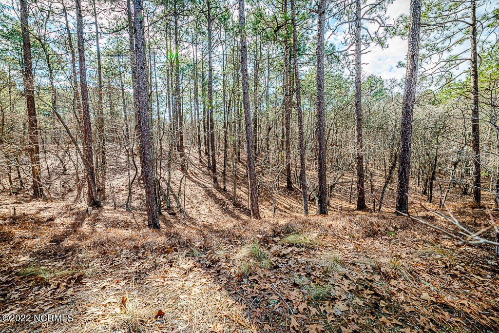 107 Paul Road West End, NC 27376 - Photo 3 of 21 int view