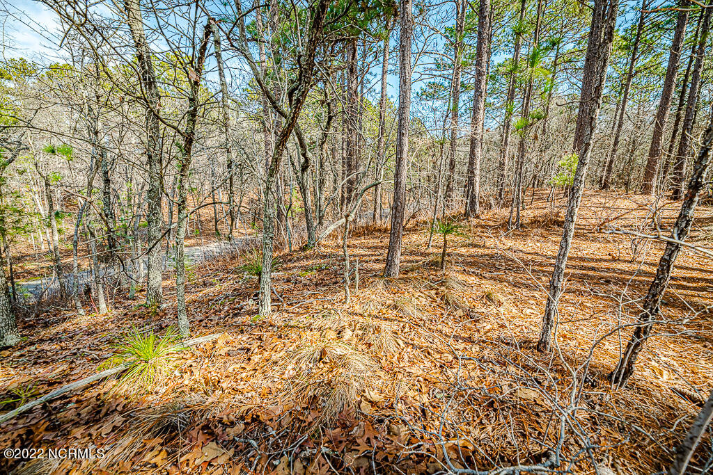107 Paul Road West End, NC 27376 - Photo 5 of 21 int view3