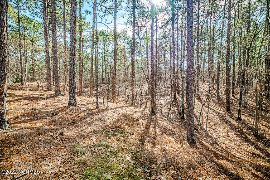 107 Paul Road West End, NC 27376 - Photo 6 of 21 int view4