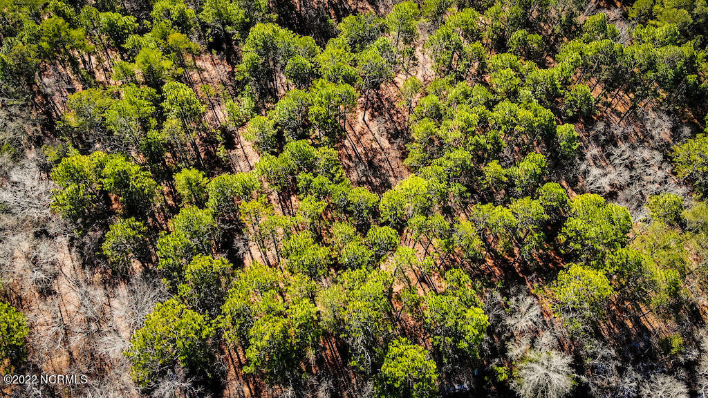 107 Paul Road West End, NC 27376 - Photo 10 of 21 aerial above