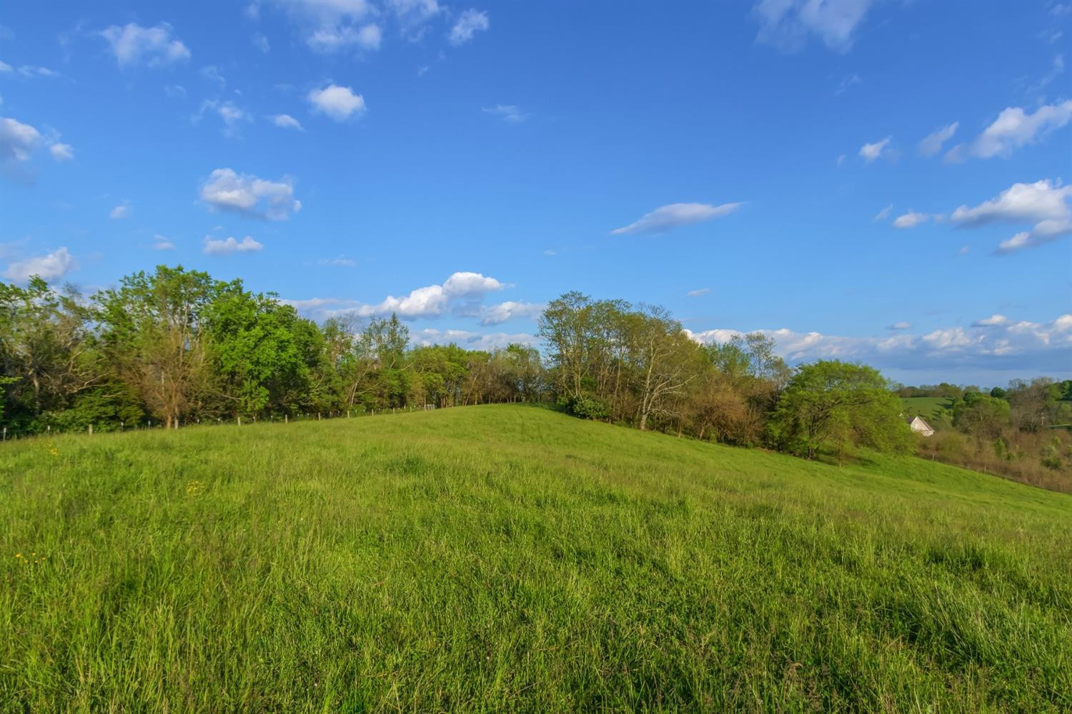 4572 Ecton Road Winchester, KY 40391 - Photo 48 of 69 Photo 48
