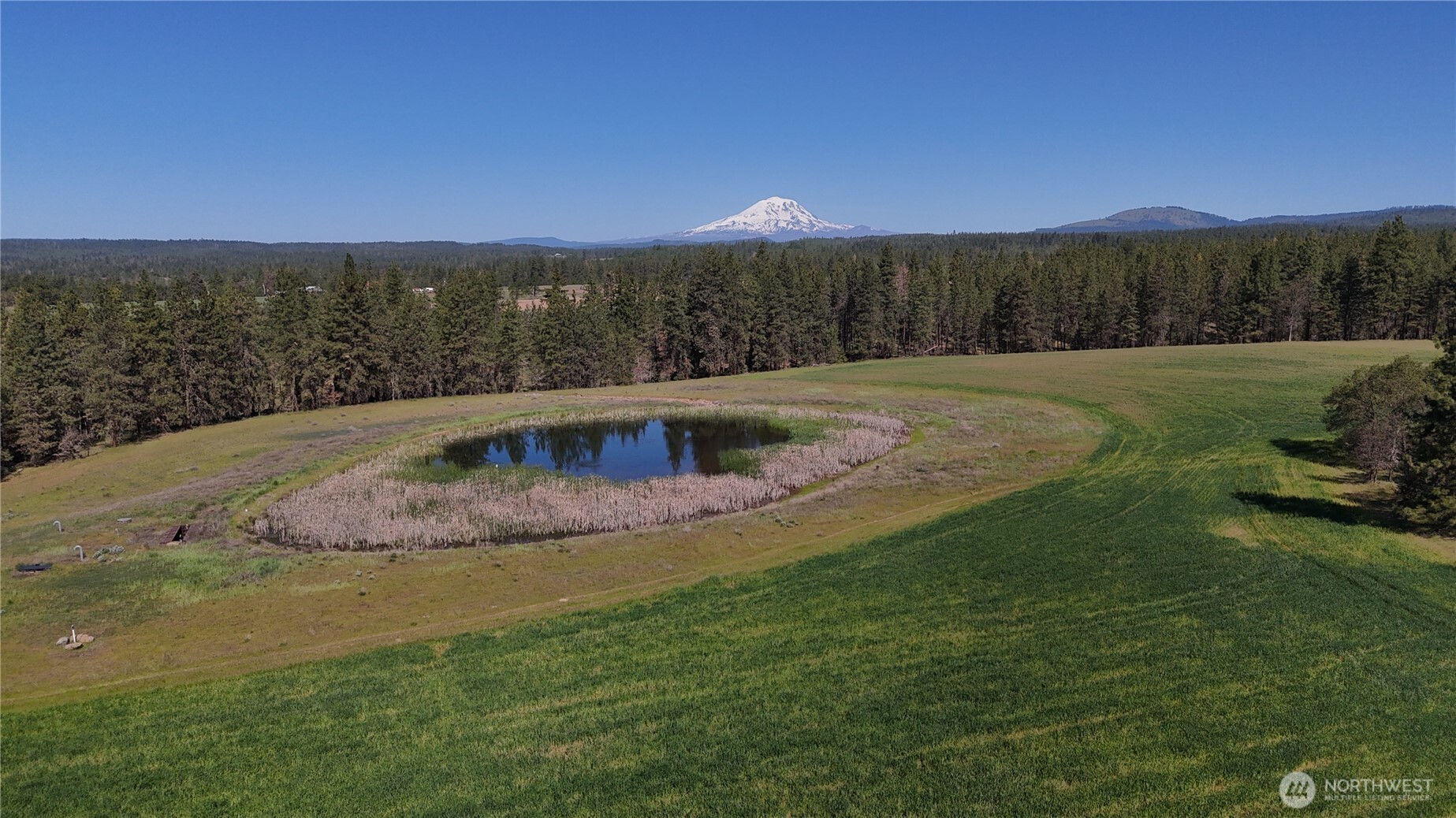 799 Counts Road Goldendale, WA 98620 - Photo 35 of 36