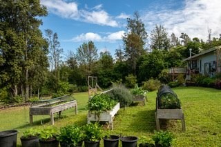 88-2830 Honomalino Road Captain Cook, HI 96704 - Photo 6 of 30 Gallery Image 6