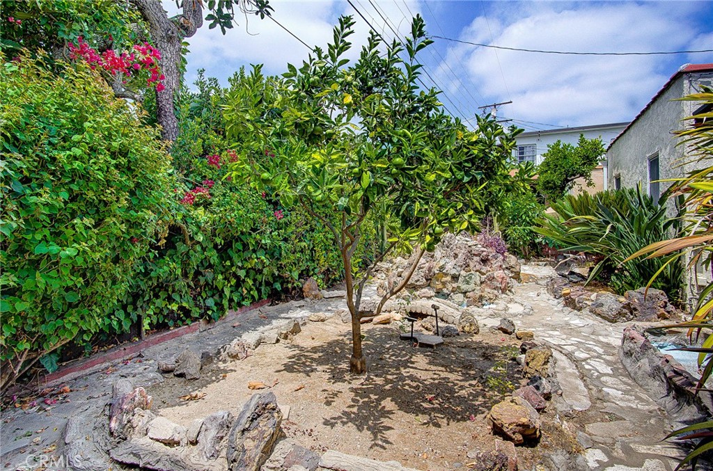 701 Westminster Avenue Alhambra, CA 91803 - Photo 21 of 35 a view of a yard with plants and large trees