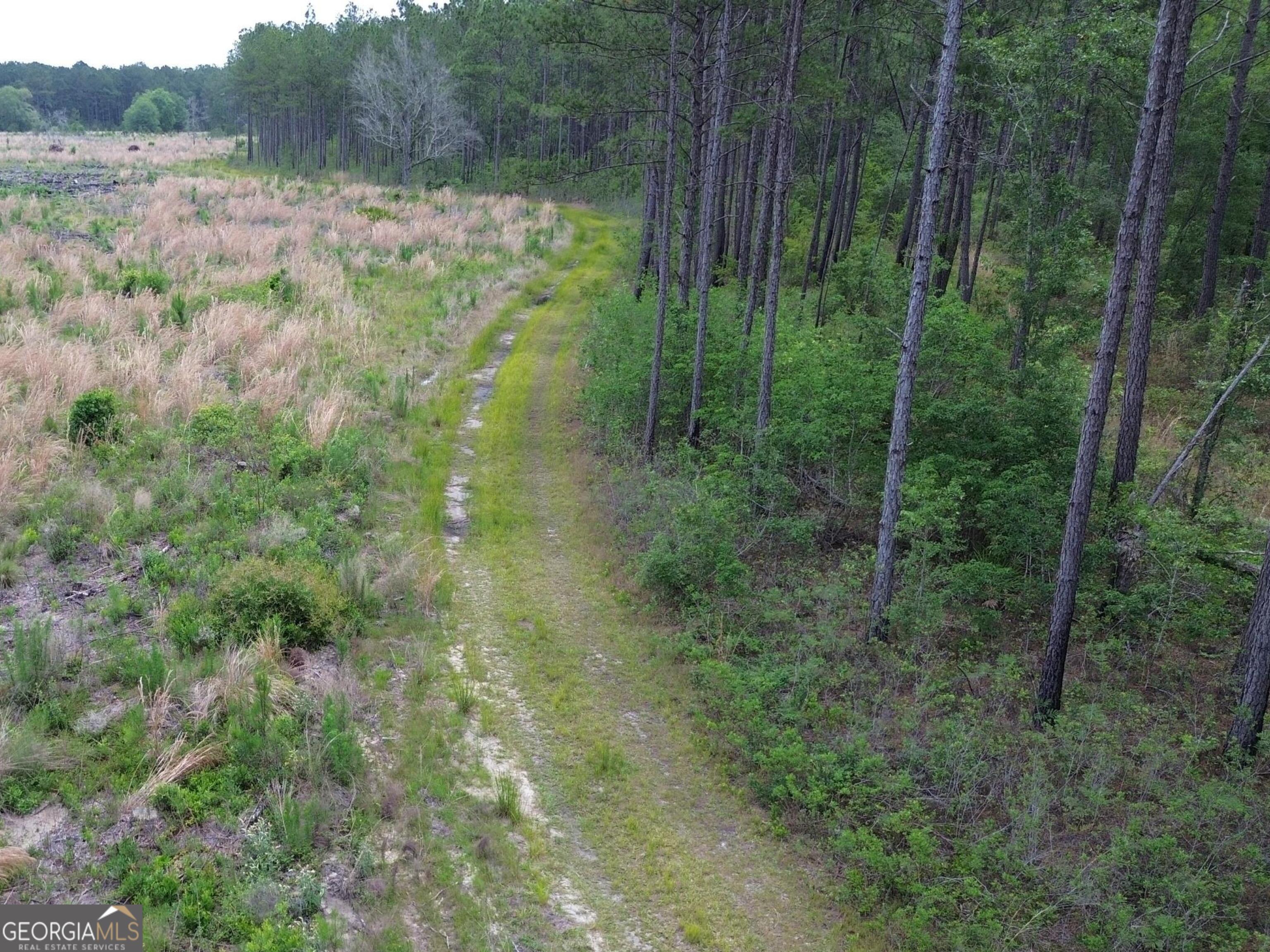 1 Bay Branch Church Road Claxton, GA 30417 - Photo 7 of 10