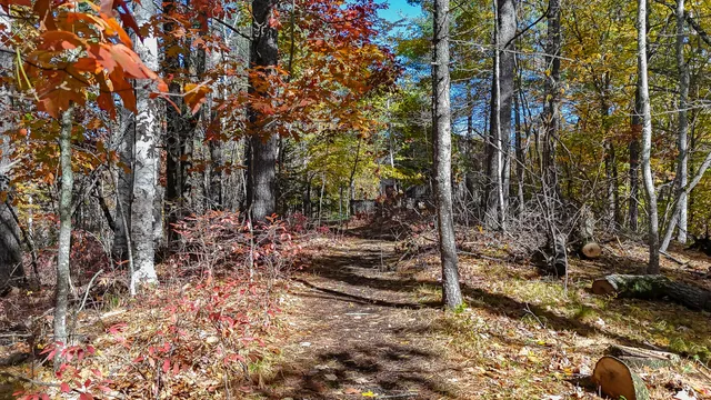 $489,000 | 60 Sequoia Lane, Waterboro, ME 04061