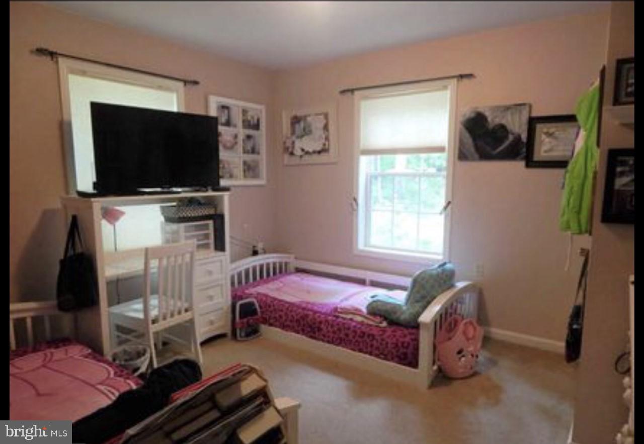 10601 River Road Rixeyville, VA 22737 - Photo 11 of 38 Gallery Image 11