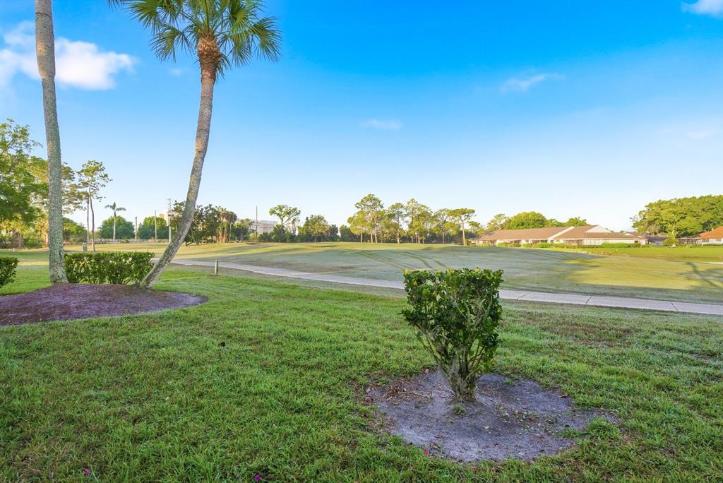 3309 Trophy Boulevard New Port Richey, FL 34655 - Photo 25 of 37 a view of a lake with a big yard and potted plants
