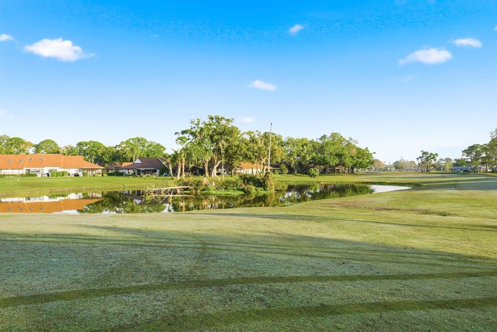 3309 Trophy Boulevard New Port Richey, FL 34655 - Photo 35 of 37 a view of an ocean and a yard