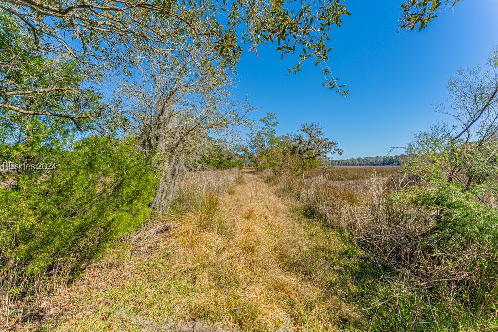 103 Palmetto Bluff Road Bluffton, SC 29910 - Photo 20 of 57 Path to island.