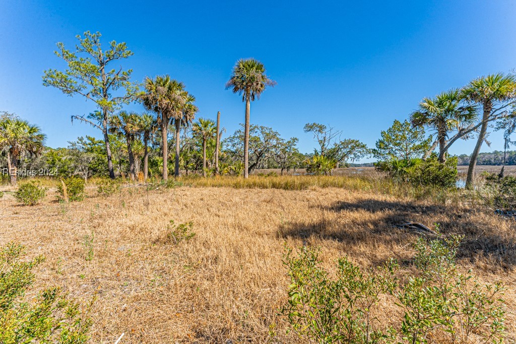 103 Palmetto Bluff Road Bluffton, SC 29910 - Photo 23 of 57 Cleared area on island.