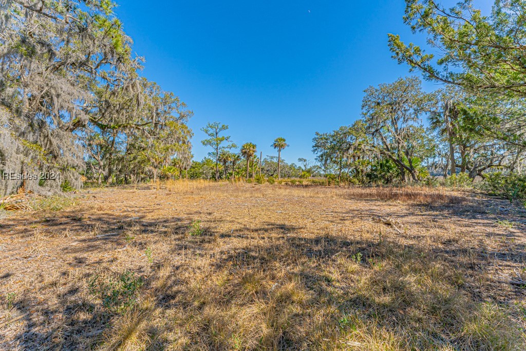 103 Palmetto Bluff Road Bluffton, SC 29910 - Photo 24 of 57 Cleared area on island.
