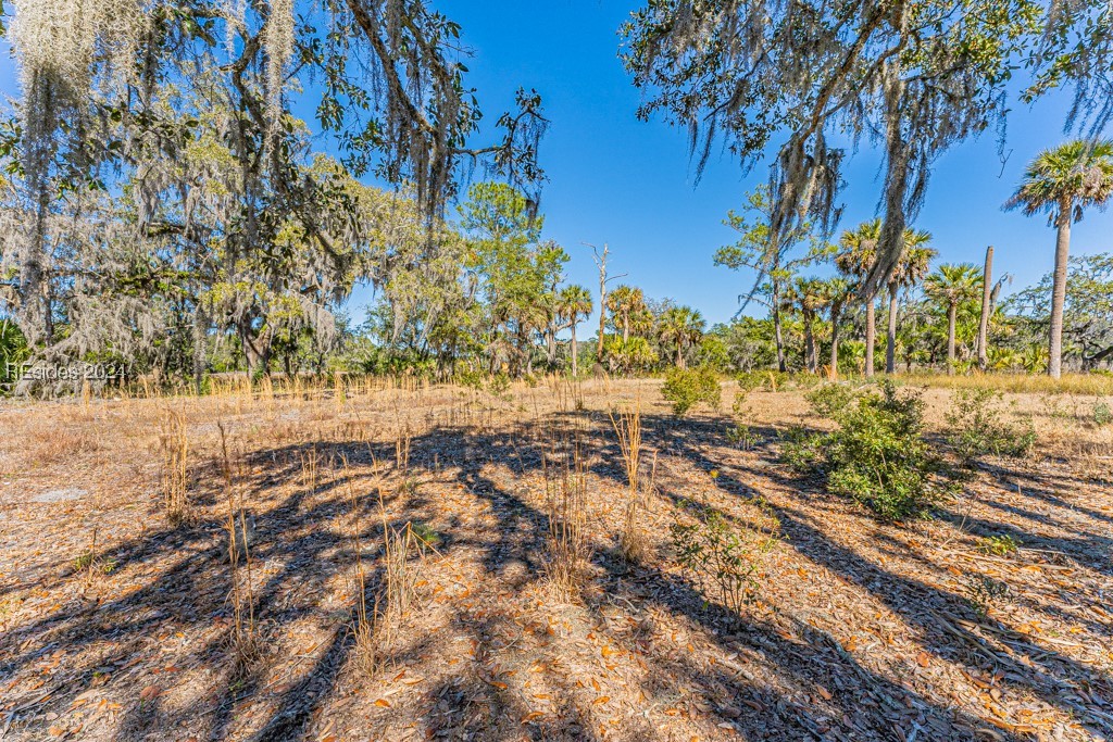 103 Palmetto Bluff Road Bluffton, SC 29910 - Photo 25 of 57 Cleared area on island.