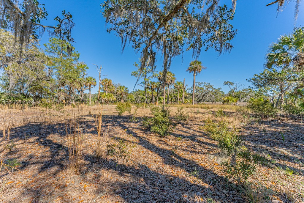 103 Palmetto Bluff Road Bluffton, SC 29910 - Photo 26 of 57 Cleared area on island.