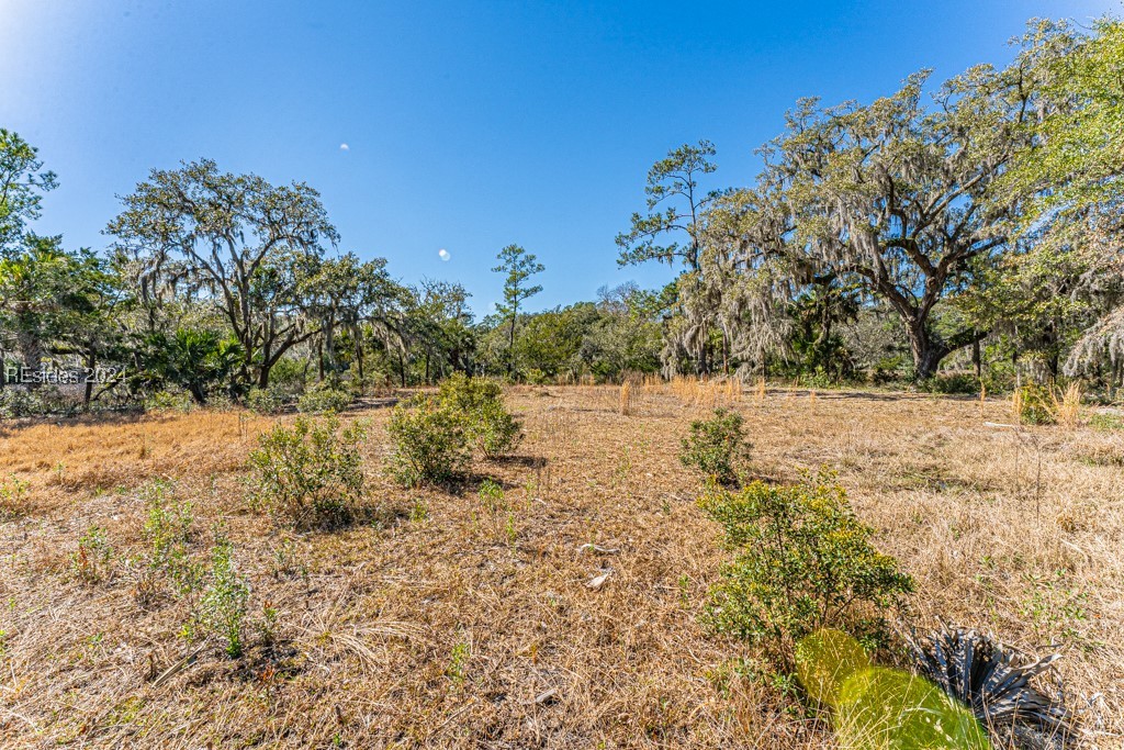 103 Palmetto Bluff Road Bluffton, SC 29910 - Photo 27 of 57 Cleared area on island.