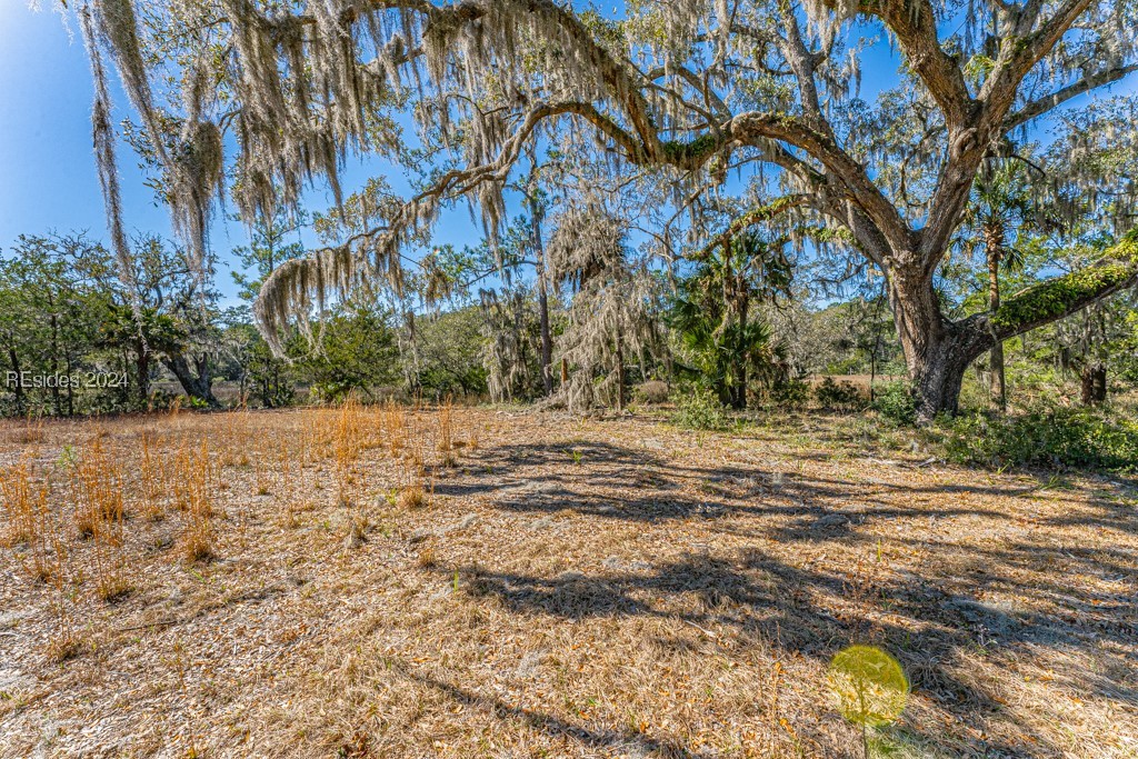 103 Palmetto Bluff Road Bluffton, SC 29910 - Photo 28 of 57 Cleared area on island.