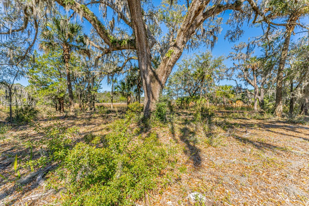 103 Palmetto Bluff Road Bluffton, SC 29910 - Photo 29 of 57