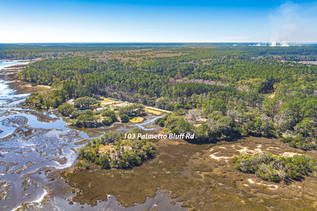103 Palmetto Bluff Road Bluffton, SC 29910 - Photo 3 of 57 Aerial view of property.
