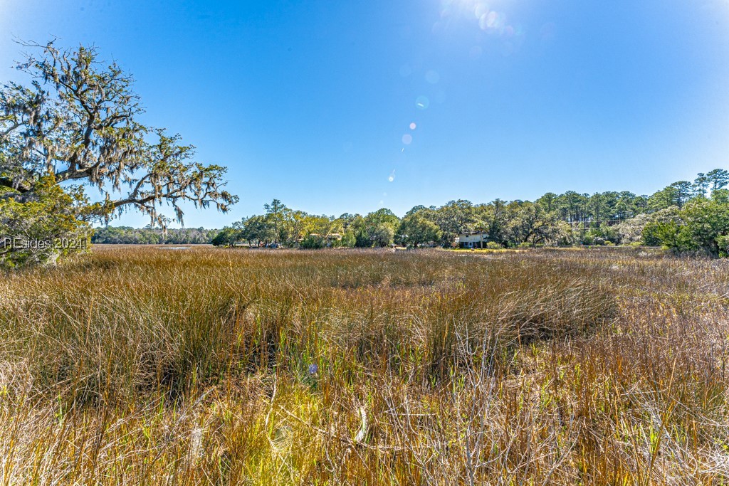 103 Palmetto Bluff Road Bluffton, SC 29910 - Photo 31 of 57 Marsh view.