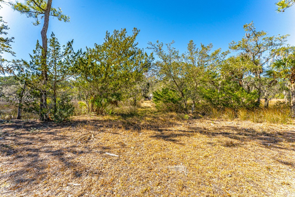 103 Palmetto Bluff Road Bluffton, SC 29910 - Photo 32 of 57 Cleared area on island.