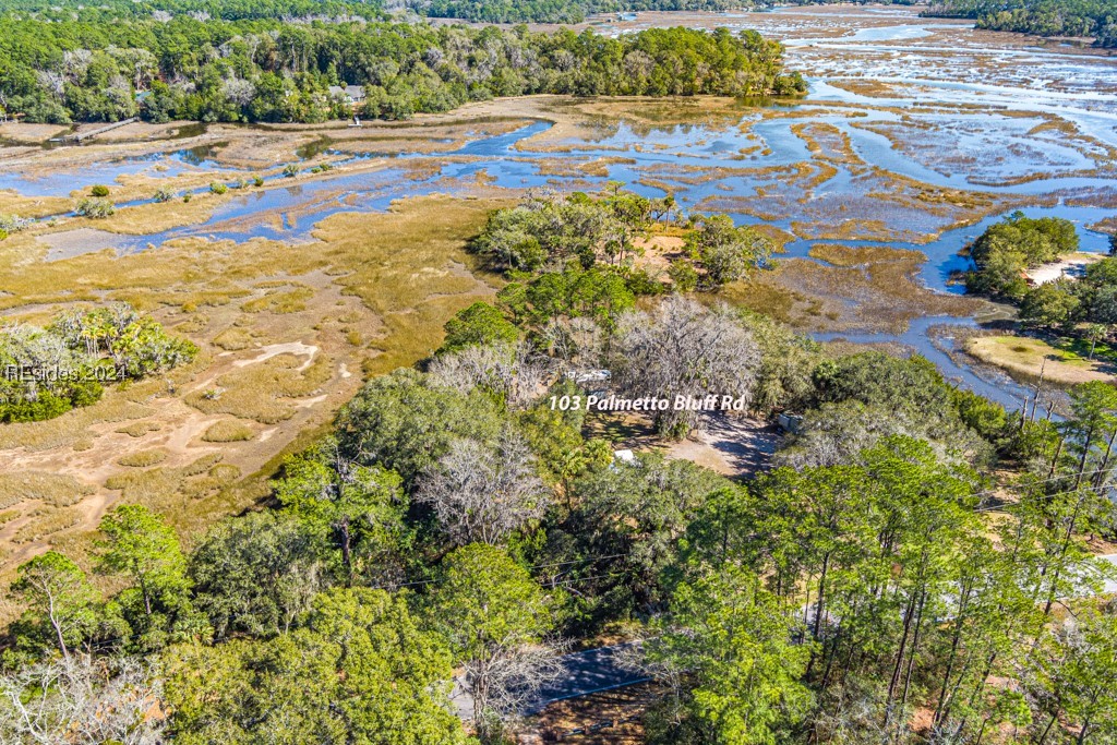 103 Palmetto Bluff Road Bluffton, SC 29910 - Photo 38 of 57