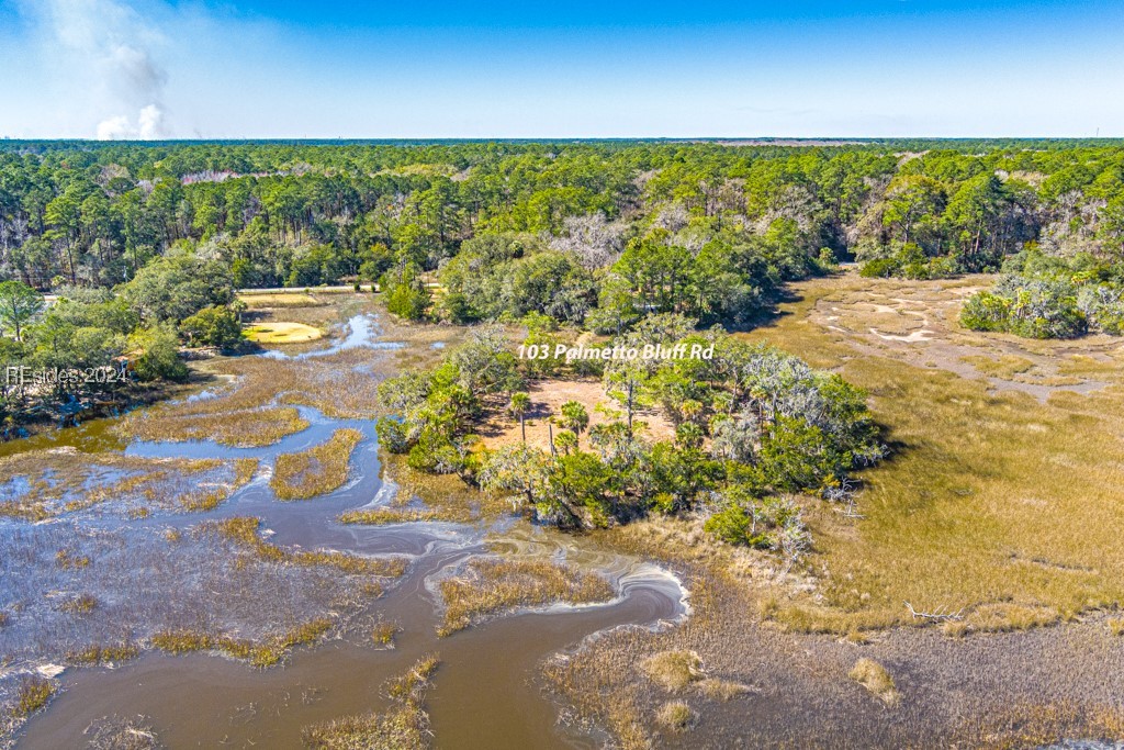 103 Palmetto Bluff Road Bluffton, SC 29910 - Photo 43 of 57