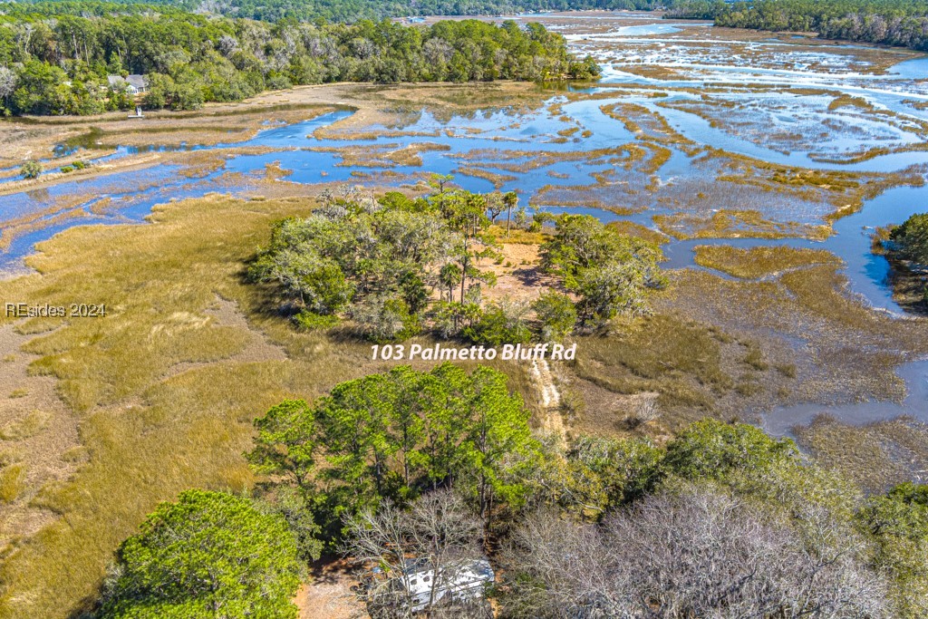 103 Palmetto Bluff Road Bluffton, SC 29910 - Photo 44 of 57 Aerial view of island on property.