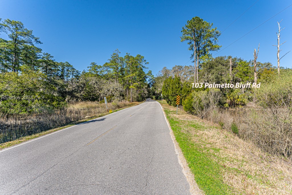 103 Palmetto Bluff Road Bluffton, SC 29910 - Photo 5 of 57 Street view.