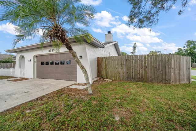 a view of a backyard