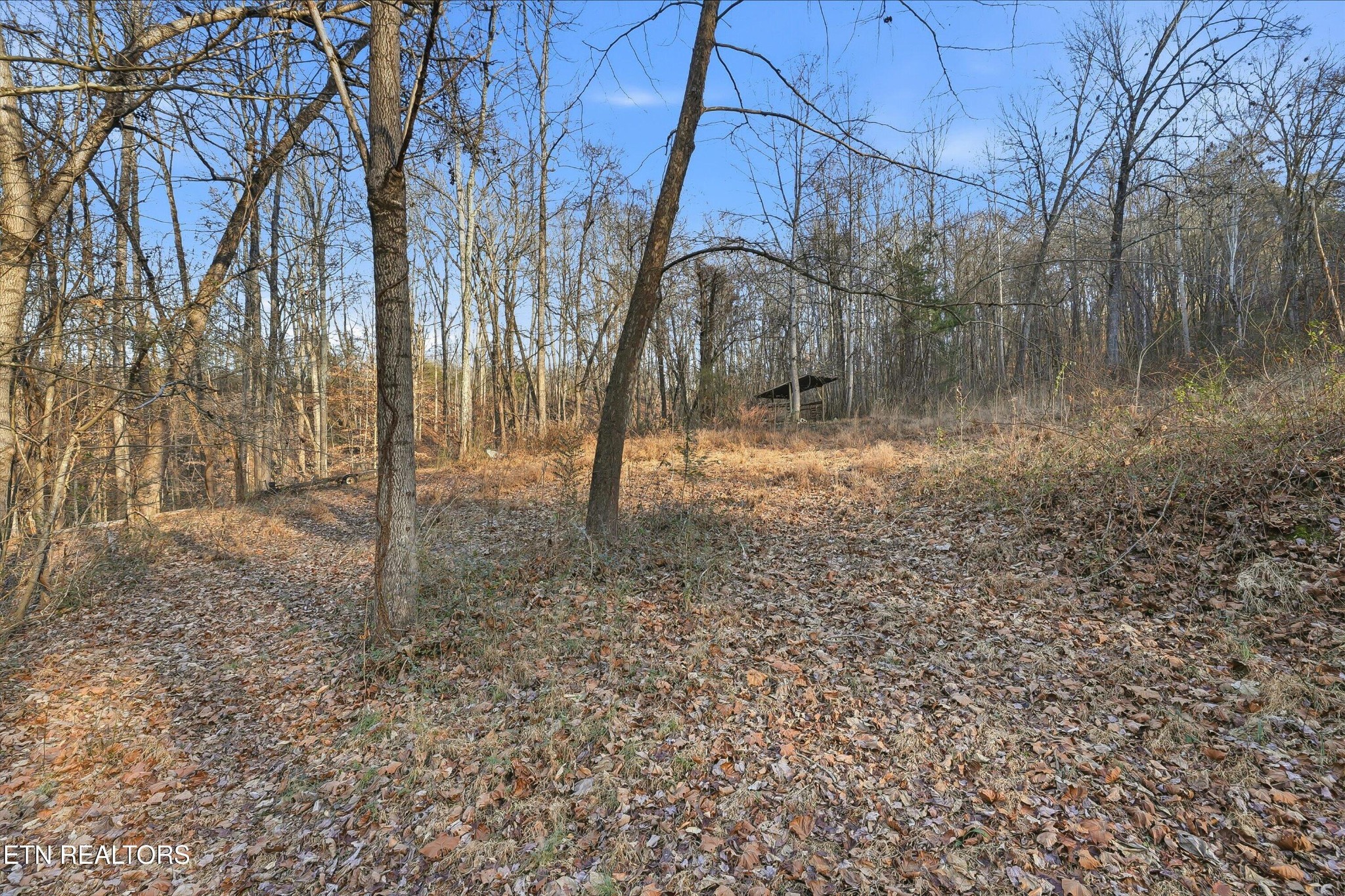 574 Peach Orchard Road Clinton, TN 37716 - Photo 21 of 27 Gallery Image 21